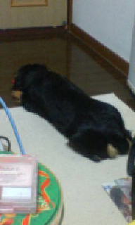 20080106183621.jpg