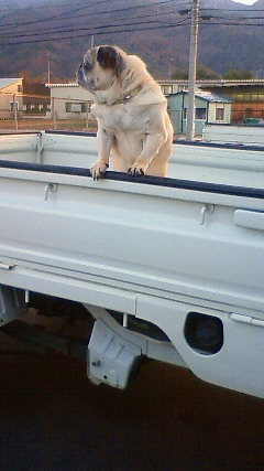 200903301748000.jpg