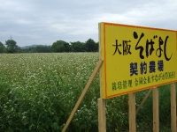 農場看板