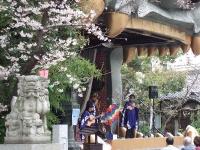 演奏者