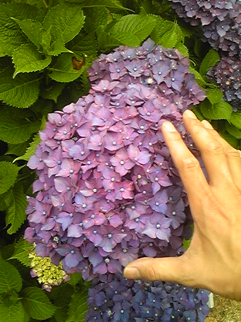 100617_161522.jpg