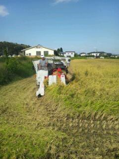 20141001_123925.jpg