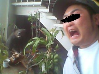 熊