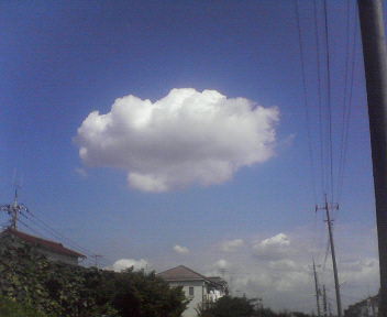 200809081300000.jpg
