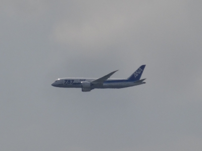 DSC00304.JPG