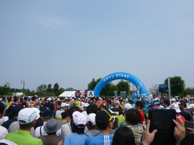 P1040417.JPG