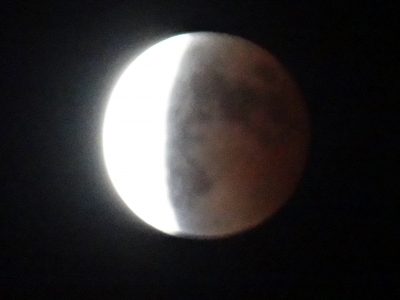 DSC01309.JPG