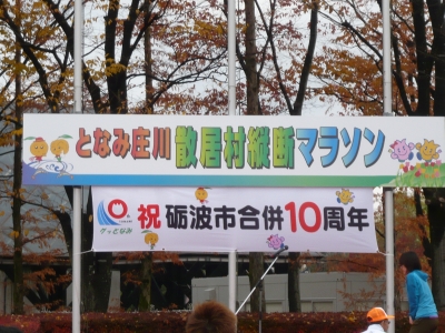 P1040453.JPG