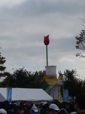 P1040466.JPG