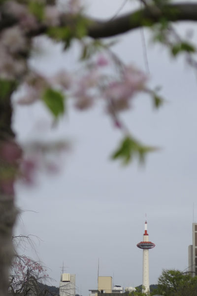 京都タワー