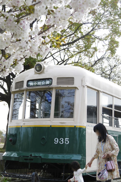 電車とさくら