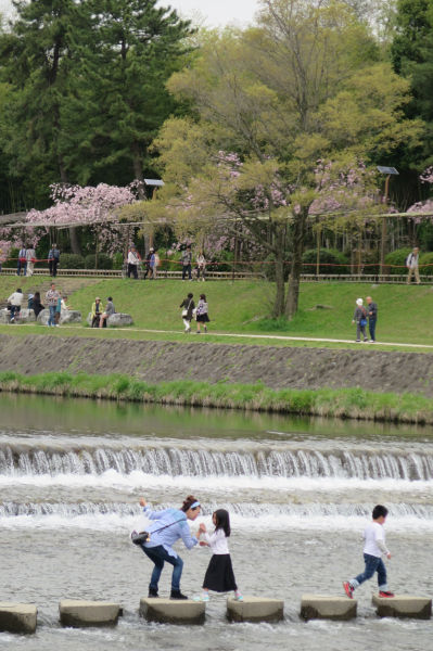 賀茂川
