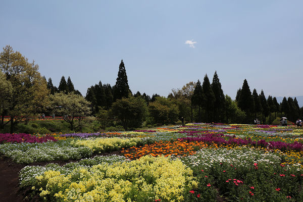 花のパッチワーク