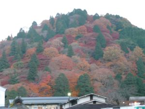 香嵐渓 紅葉の昼間