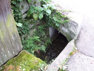 現場2