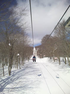 skirifuto