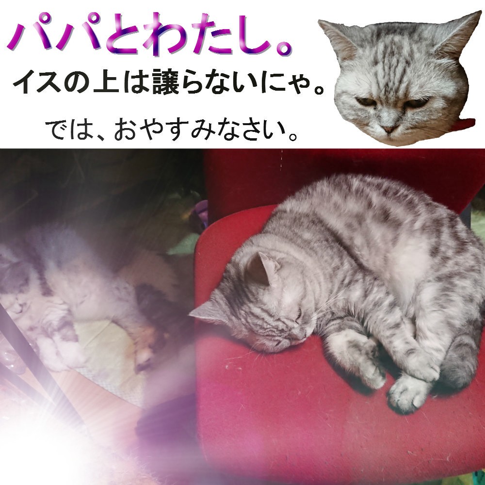 パパとわたし