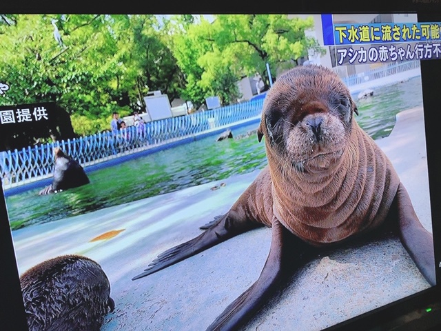 image1.jpeg