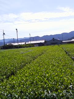 P2009_0911_120913.JPG