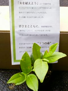 P2010_1117_085912.JPG
