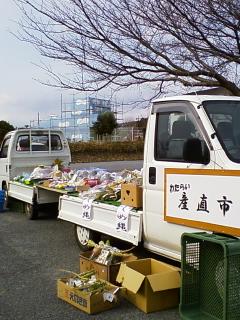 P2010_1226_110754.JPG