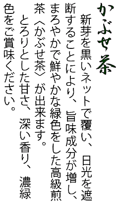 かぶせ茶とは