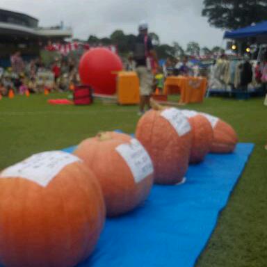 IMG_20140906_145644-1.jpg
