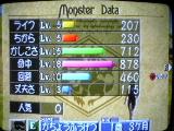 セイレーン1歳3ヶ月