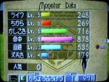 セイレーン1歳9ヶ月