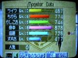 セイレーン4歳6ヶ月