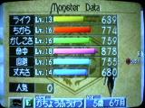 セイレーン5歳6ヶ月