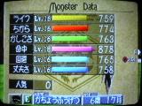 セイレーン6歳1ヶ月