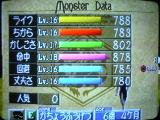 セイレーン6歳4ヶ月