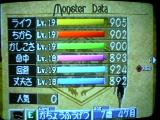 セイレーン7歳4ヶ月