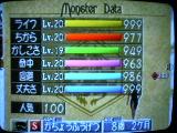セイレーン8歳2ヶ月