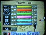 セイレーン8歳5ヶ月