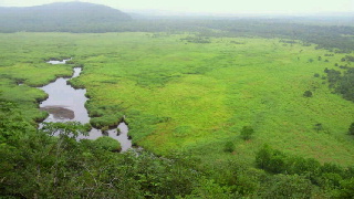 2012082923120000.jpg