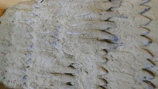 15435896606730.jpg