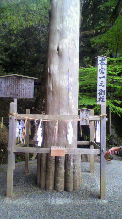 P1010027.jpg