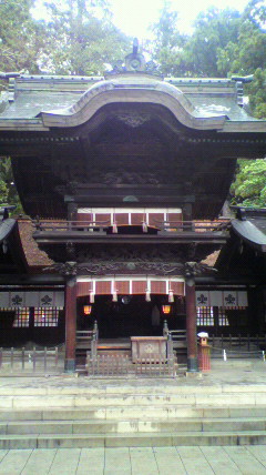 P1010037.jpg