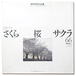 東松照明