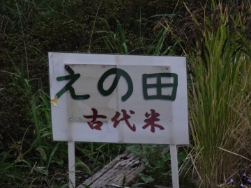 13.10.24³ùÁÒ44