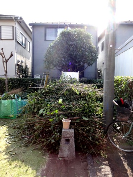13.11.01剪定サークル02
