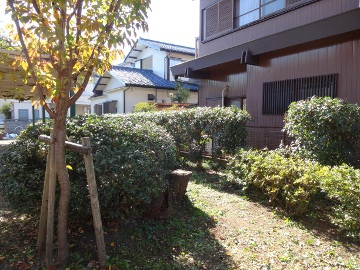 13.11.22剪定03