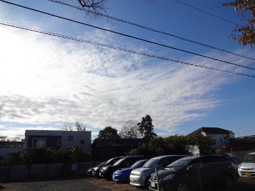 13.11.30落ち葉08