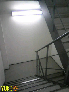 2010111613580000.jpg