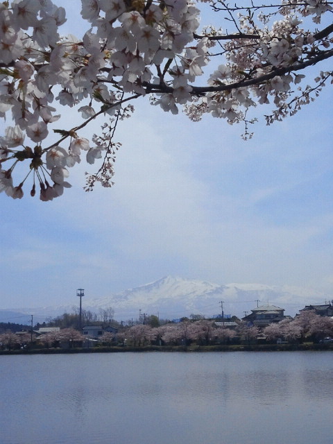 2012042510550000.jpg