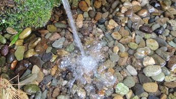 お殿水