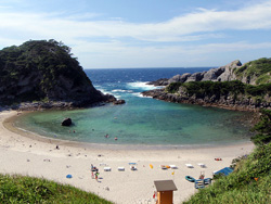 式根島