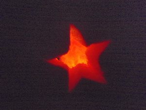 jackolantern